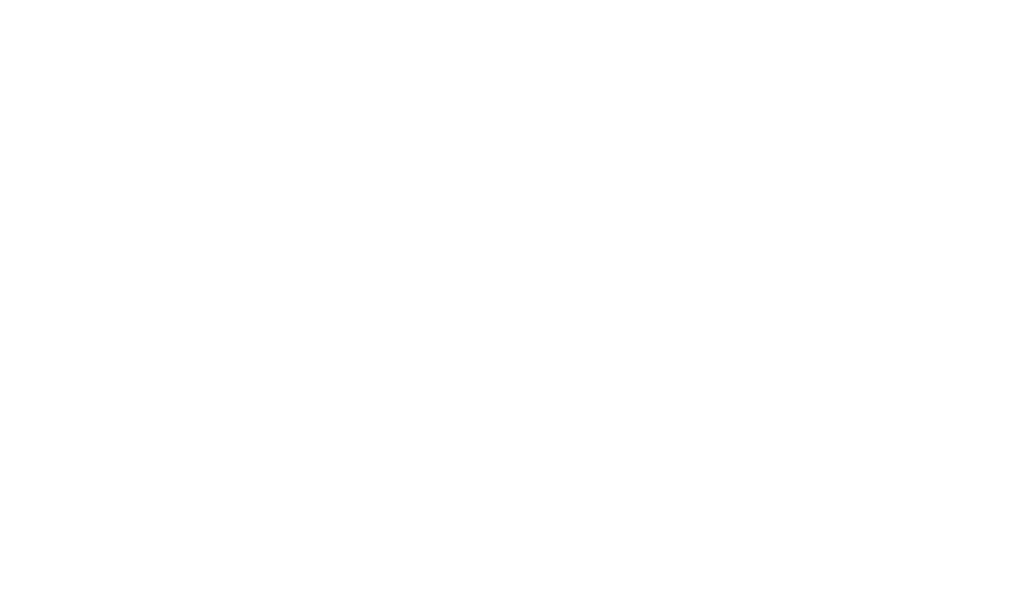 professional Roofers